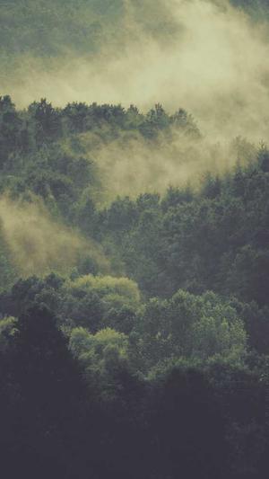 网站建设价格截图1