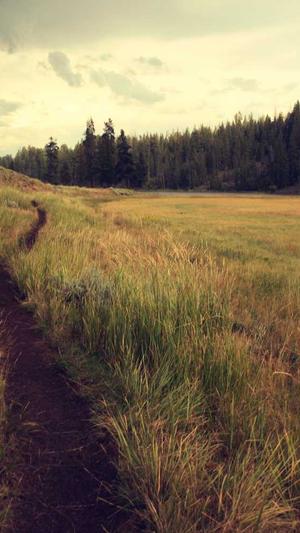 建设网站学习截图3