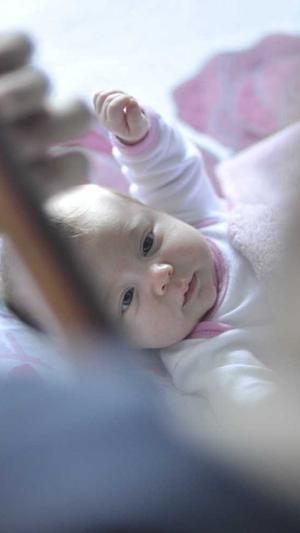 滴滴蜘蛛池截图3