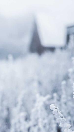 网站建设公司建设网站的三个步骤截图3