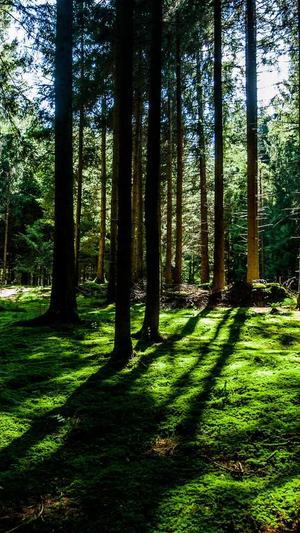 企业网站建设平台截图1