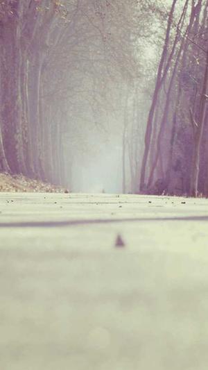 郑州seo优化工具截图2