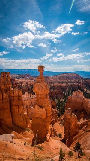 小旋风蜘蛛池 谷歌截图4