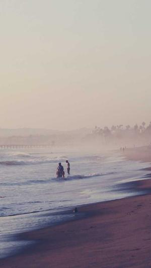 什么蜘蛛池的程序出名截图3