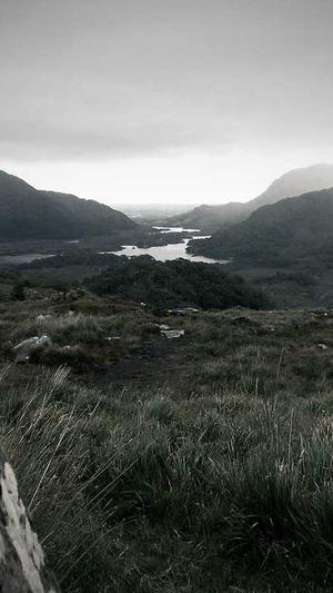 seo搜索引擎排名优化截图1