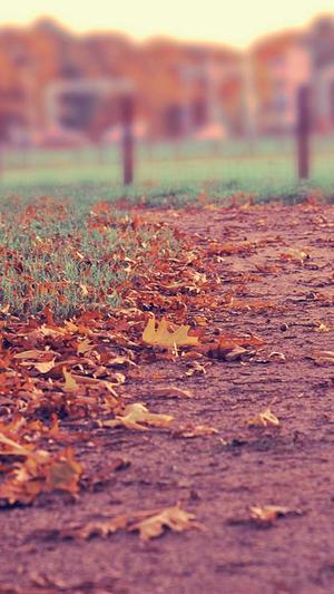 重庆seo优化效果好截图3