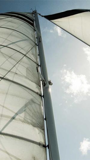 网站建设专家截图3