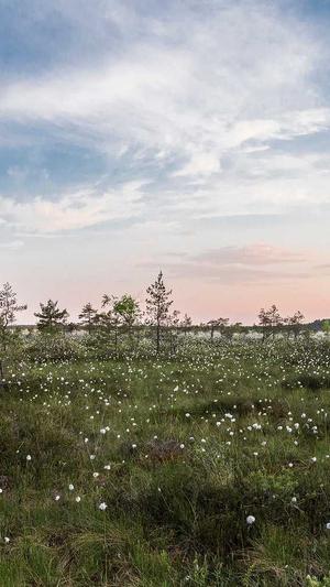 泛目录交易截图4