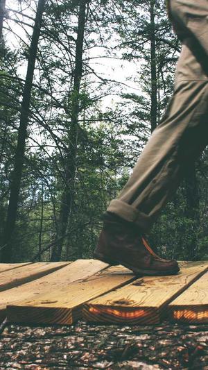 网站建设郑州截图4