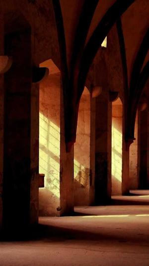 租蜘蛛池有用吗百度截图3