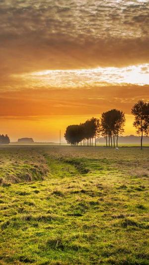 网站seo优化截图2