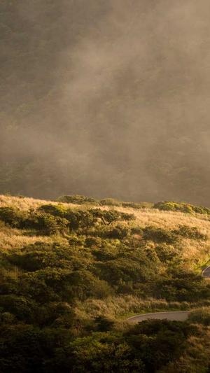 红蜘蛛池租域名靠谱不截图3