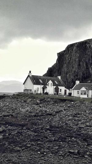 泛目录排名代发截图3