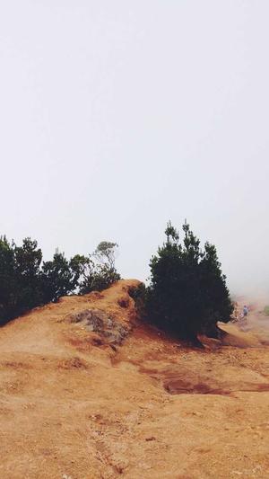 松江网站建设截图2