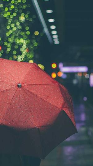 衡阳网站建设截图2