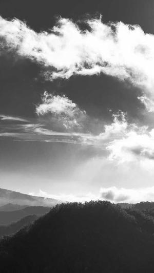 爱站的seo工具截图2