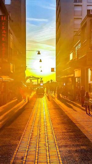 网站seo站长工具截图1