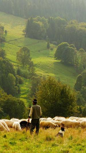 上海专业网站建设费用截图3