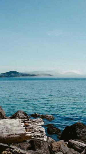 好用的网站seo优化工具截图3