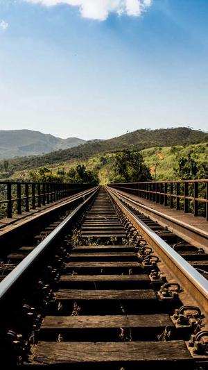 最新小旋风蜘蛛池站群截图4