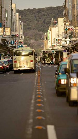 头条蜘蛛池价格优惠截图3