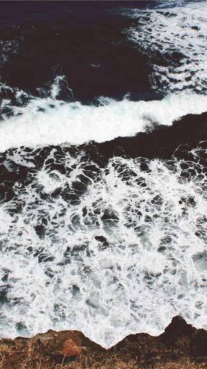 泛目录程序推广截图2