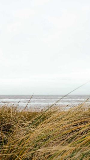 泛目录站群怎么收费截图1