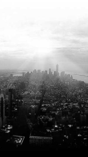 泛目录繁殖系统截图5