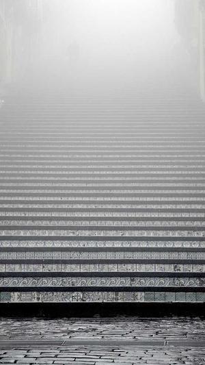 枫叶站群蜘蛛池截图1