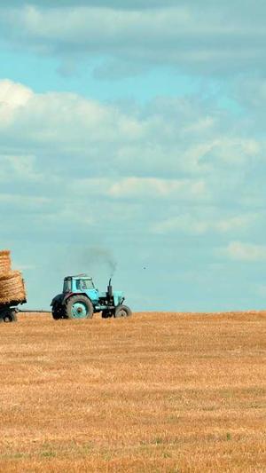 重庆seo优化方法截图1