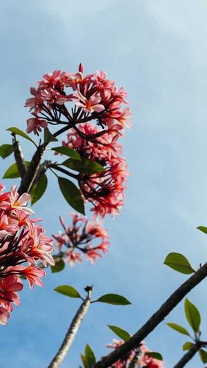 郑州高端网站建设公司截图3