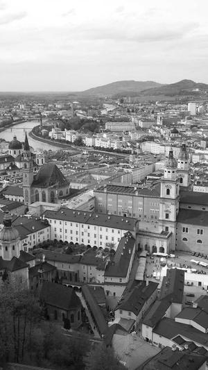 蜘蛛池系统搭建教程截图4