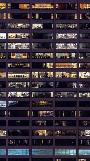 百度蜘蛛池哪家好截图3