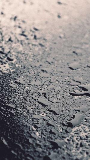 蜘蛛池建造流程详细截图1