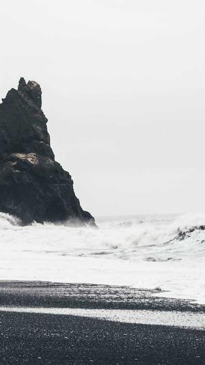 蜘蛛池出租打广告截图2