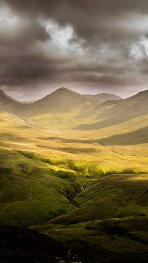 百度蜘蛛池多少钱截图1