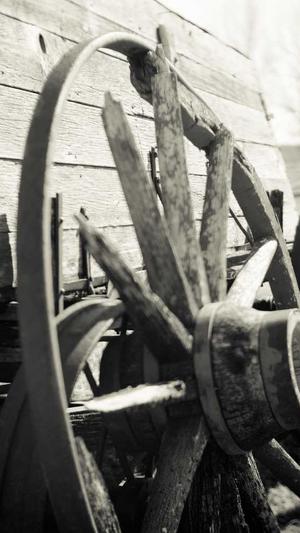 SEO是什么职业截图3