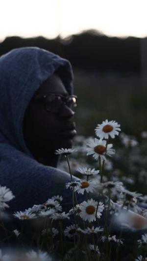 国外网站建设网站截图1