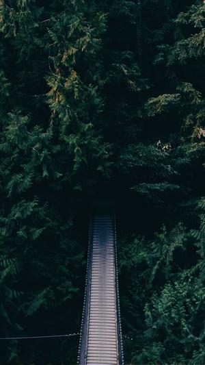 seo建模工具截图1