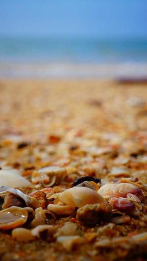 长沙企业网站建设截图2