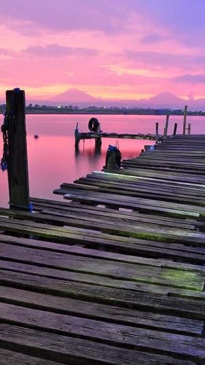 湛江seo优化截图1