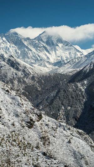seo排名推广工具截图1