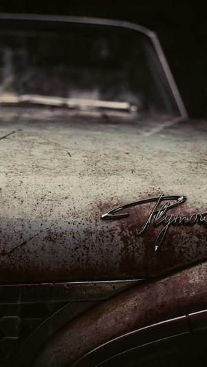 seo优化论坛截图3