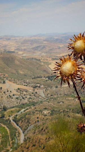 泛目录怎么做外推截图2
