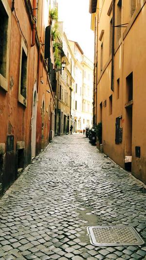 seo综合查询工具截图2