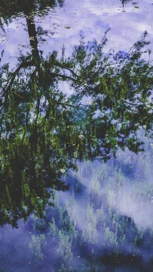 seo工具查询截图4