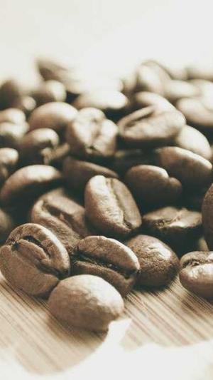 广州 网站建设截图1