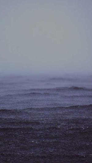 蜘蛛池 做法徽ahua seσ截图3