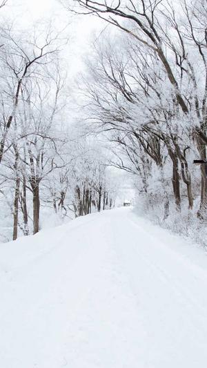 北京市城乡建设委员会官方网站截图1
