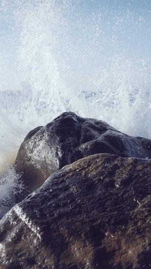 红色蜘蛛池截图3